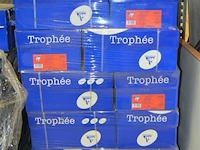 Pallet kopieerpapier trophee a3 - afbeelding 1 van  4