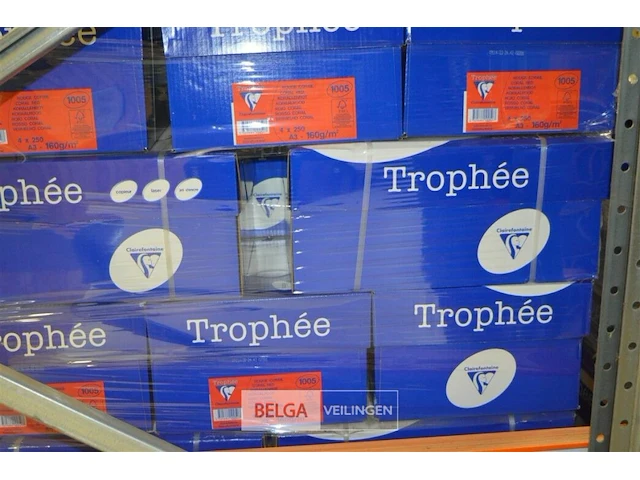 Pallet kopieerpapier trophee a3 - afbeelding 2 van  4