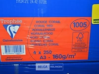 Pallet kopieerpapier trophee a3 - afbeelding 3 van  4