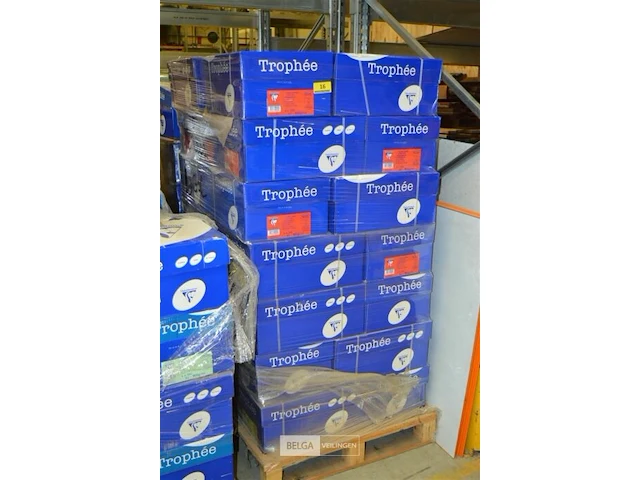 Pallet kopieerpapier trophee a3 - afbeelding 4 van  4