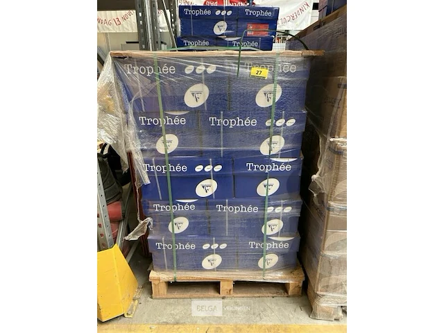 Pallet kopieerpapier trophee a3 - afbeelding 1 van  2