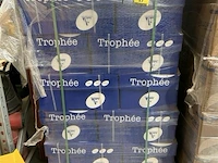 Pallet kopieerpapier trophee a3 - afbeelding 1 van  2