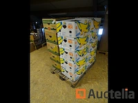 Pallet lege bananendoos (back store)