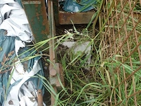 Pallethaak - afbeelding 2 van  2