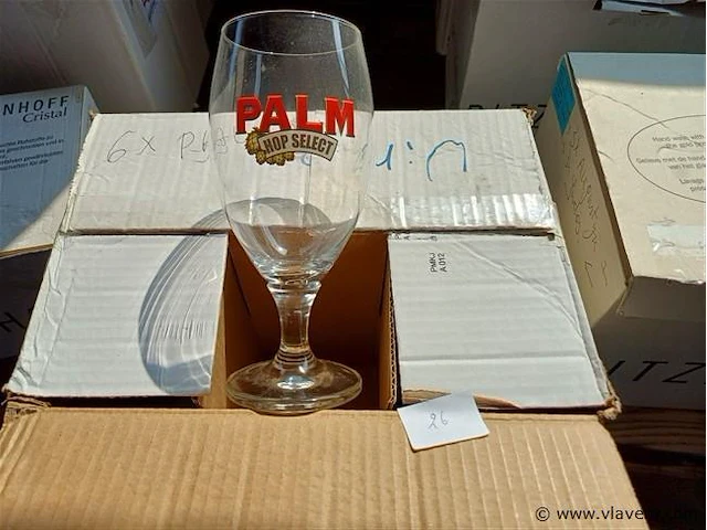 Palm 6 st. - afbeelding 1 van  1