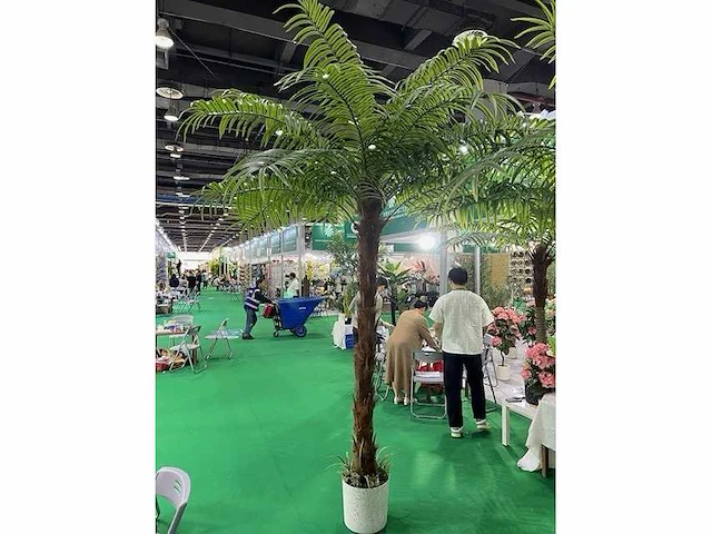 Palm boom - afbeelding 1 van  1