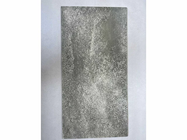 Pamesa 60x120 cement grigio 46,08 m² - afbeelding 2 van  3