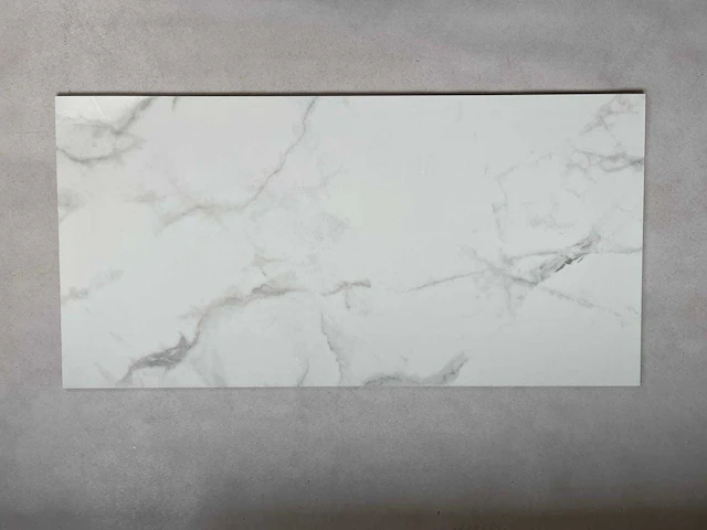 Pamesa 60x120 ultra bianco 40,32 m² - afbeelding 1 van  3