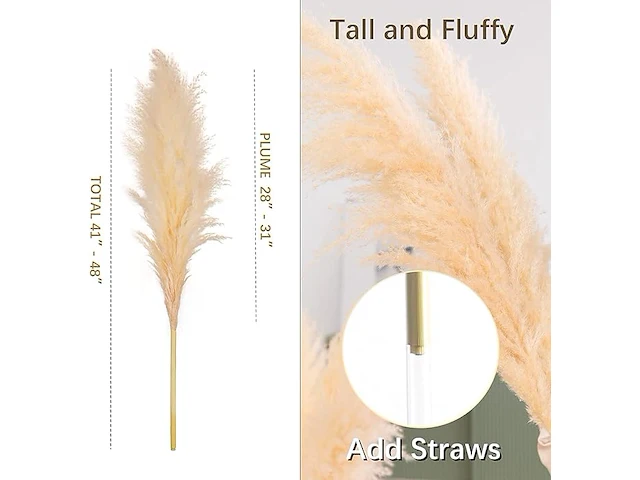 Pampasgras (12 stuks) - afbeelding 3 van  3