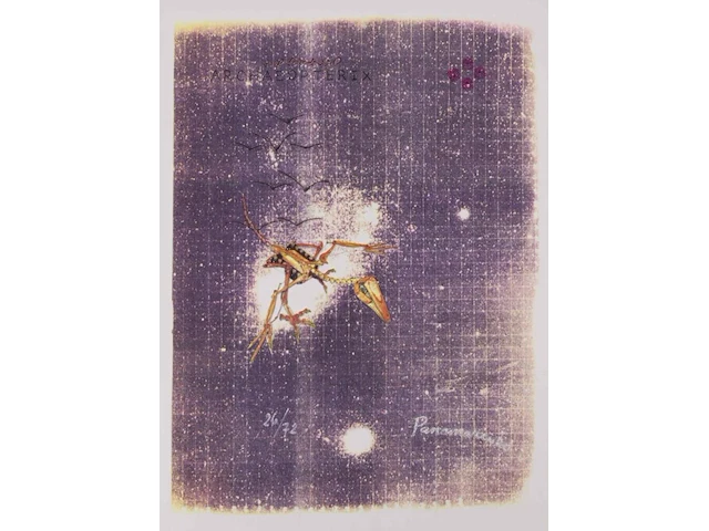 Panamarenko - archaeopteryx - afbeelding 1 van  1