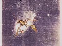 Panamarenko - archaeopteryx - afbeelding 1 van  1