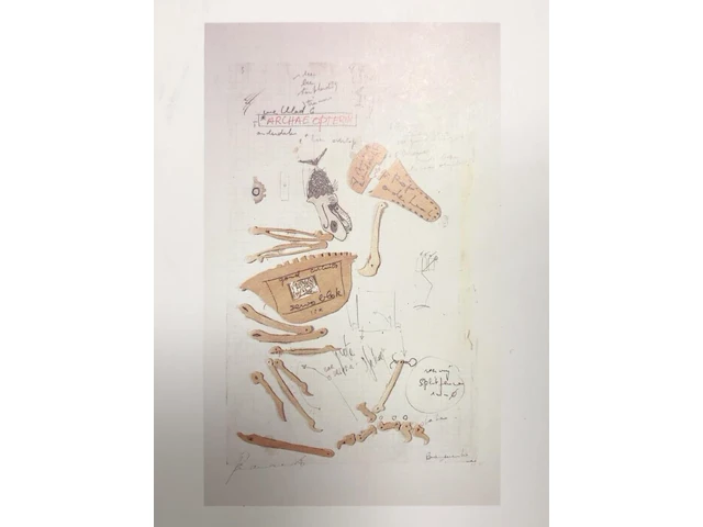 Panamarenko - kip archaeopterix - afbeelding 1 van  3