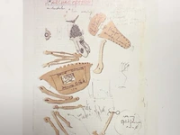 Panamarenko - kip archaeopterix - afbeelding 1 van  3
