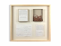 Panamarenko - l'avion - gesigneerd - afbeelding 1 van  1