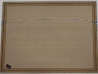 Panamarenko - meganeudon ii - afbeelding 5 van  5