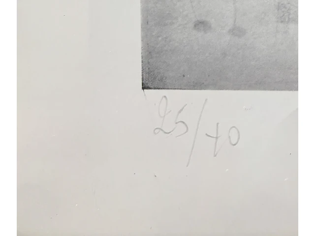 Panamarenko - opgepast bochten - gesigneerd en genummerd - afbeelding 3 van  3