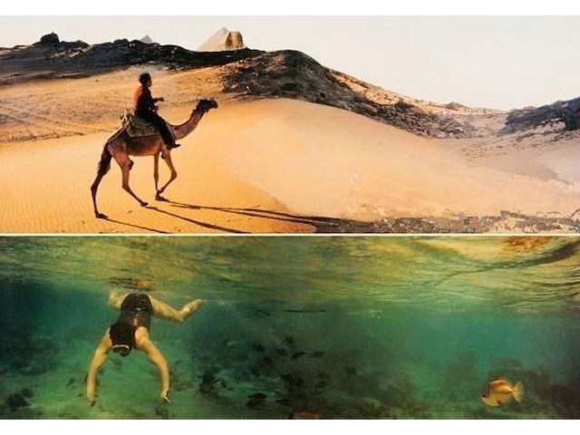 Panamarenko - reis naar egypte - afbeelding 1 van  3