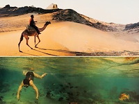 Panamarenko - reis naar egypte - afbeelding 1 van  3