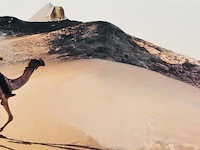 Panamarenko - reis naar egypte - afbeelding 2 van  3