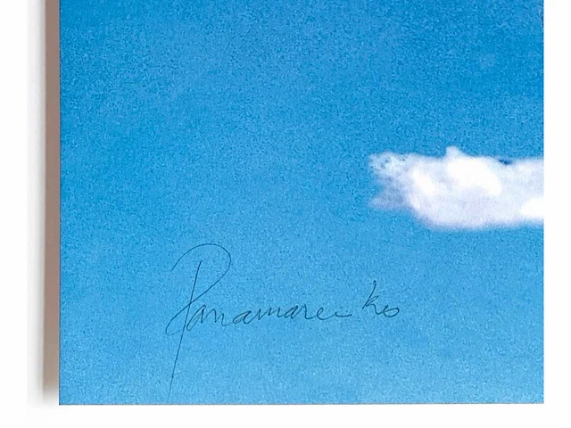 Panamarenko (antwerpen 1940-2019) - in plexibox - afbeelding 3 van  6