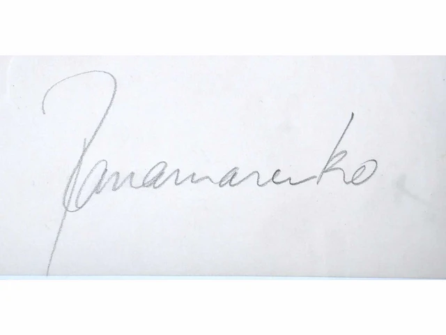 Panamarenko (antwerpen 1940-2019) - afbeelding 3 van  6