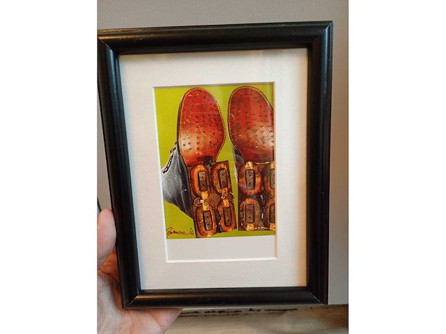 Panamarenko magnetic shoe's - afbeelding 2 van  2