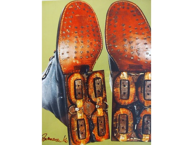 Panamarenko magnetische schoenen - afbeelding 1 van  2