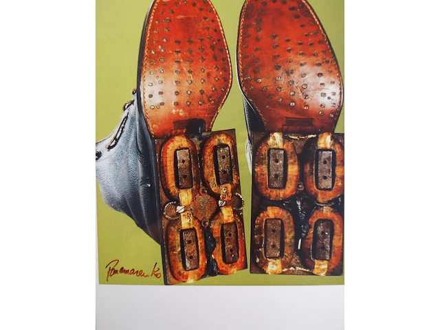 Panamarenko magnetische schoenen - afbeelding 2 van  2