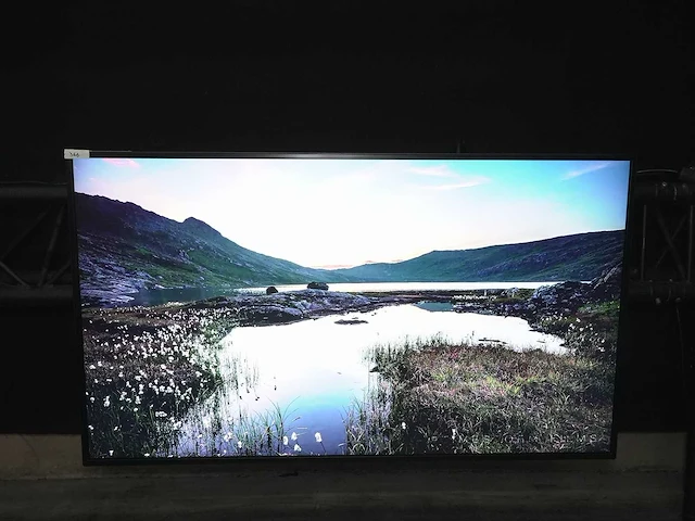 Panasonic - monitor th-55eq1w - diverse video apparatuur - afbeelding 1 van  1