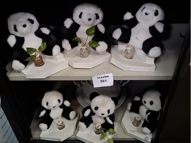 Panda - afbeelding 1 van  1