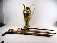 Paraplubak