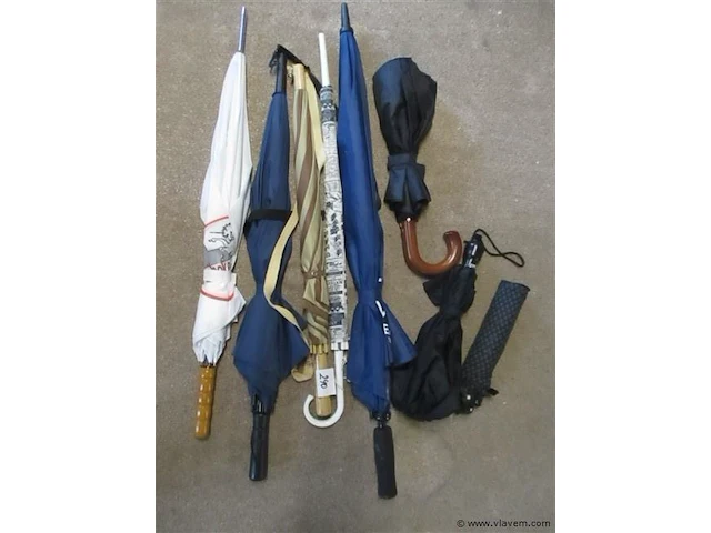 Paraplu's - afbeelding 1 van  1