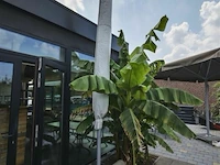 Parasol 4x4m met marmeren voet - afbeelding 1 van  3