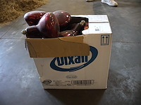 Parij broedlampen - afbeelding 1 van  2