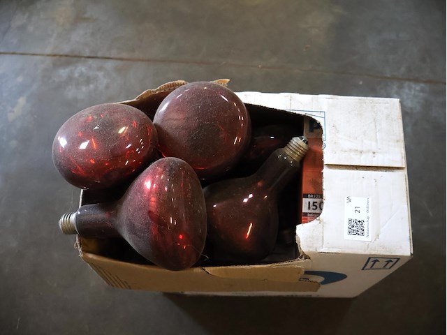 Parij broedlampen - afbeelding 2 van  2