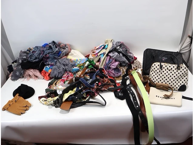 Partij accessoires - afbeelding 1 van  4