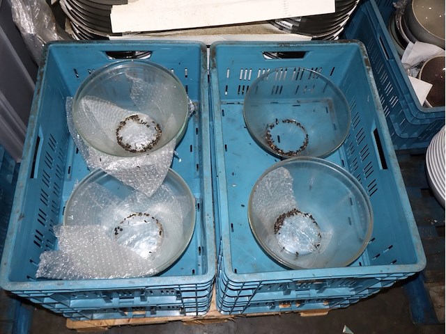 Partij afwas - afbeelding 2 van  3