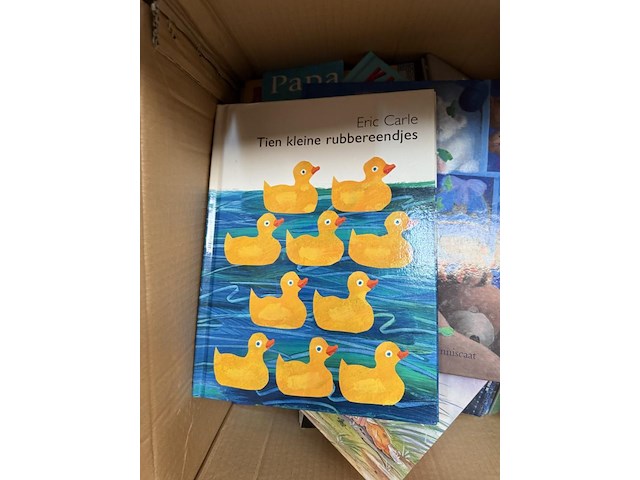 Partij boeken - afbeelding 1 van  3