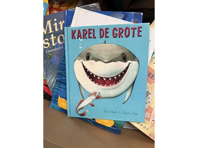 Partij boeken - afbeelding 3 van  3