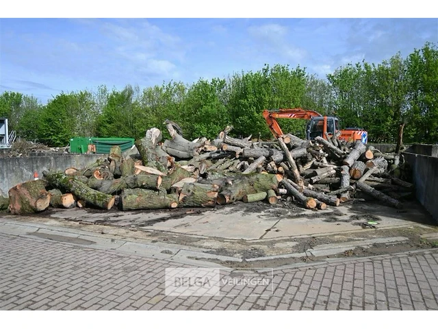 Partij brandhout divers ca. 20m3 - afbeelding 1 van  4