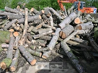 Partij brandhout divers ca. 20m3 - afbeelding 3 van  4