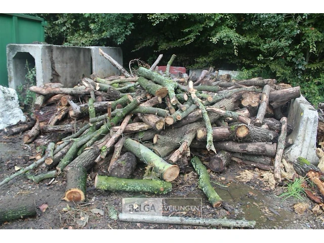 Partij brandhout - afbeelding 1 van  4