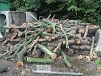 Partij brandhout