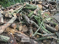 Partij brandhout - afbeelding 3 van  4