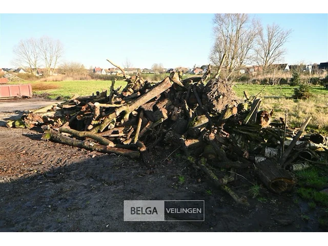 Partij brandhout - afbeelding 1 van  6