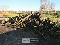 Partij brandhout