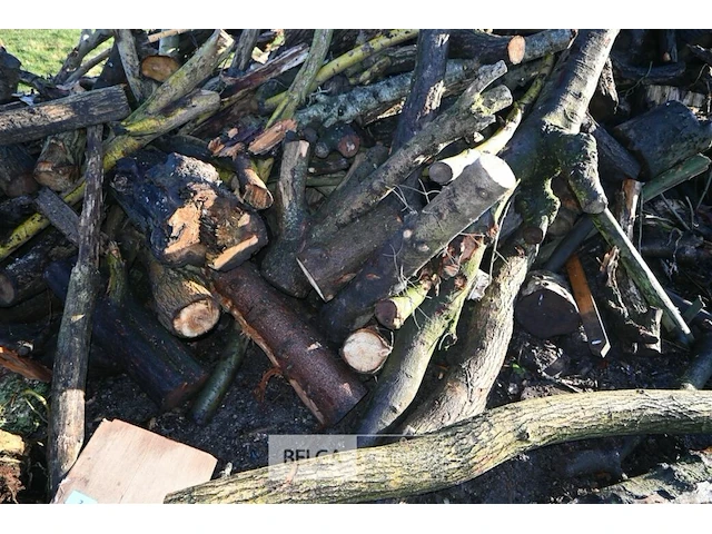 Partij brandhout - afbeelding 5 van  6