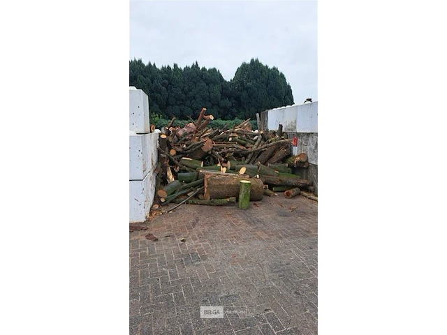 Partij brandhout - afbeelding 1 van  1