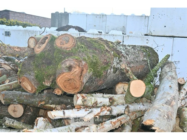 Partij brandhout - afbeelding 3 van  5