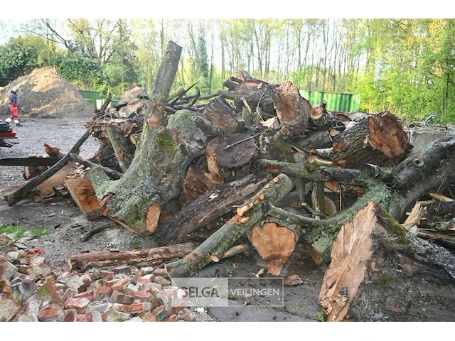 Partij brandhout - afbeelding 4 van  6